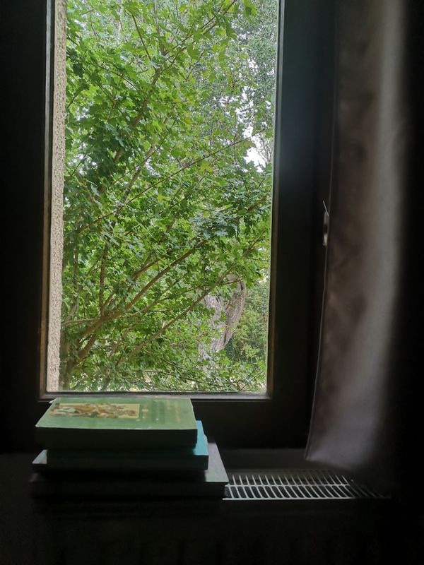 desde el interior de una habitación en penumbras, una ventana y debajo unos libros apilados